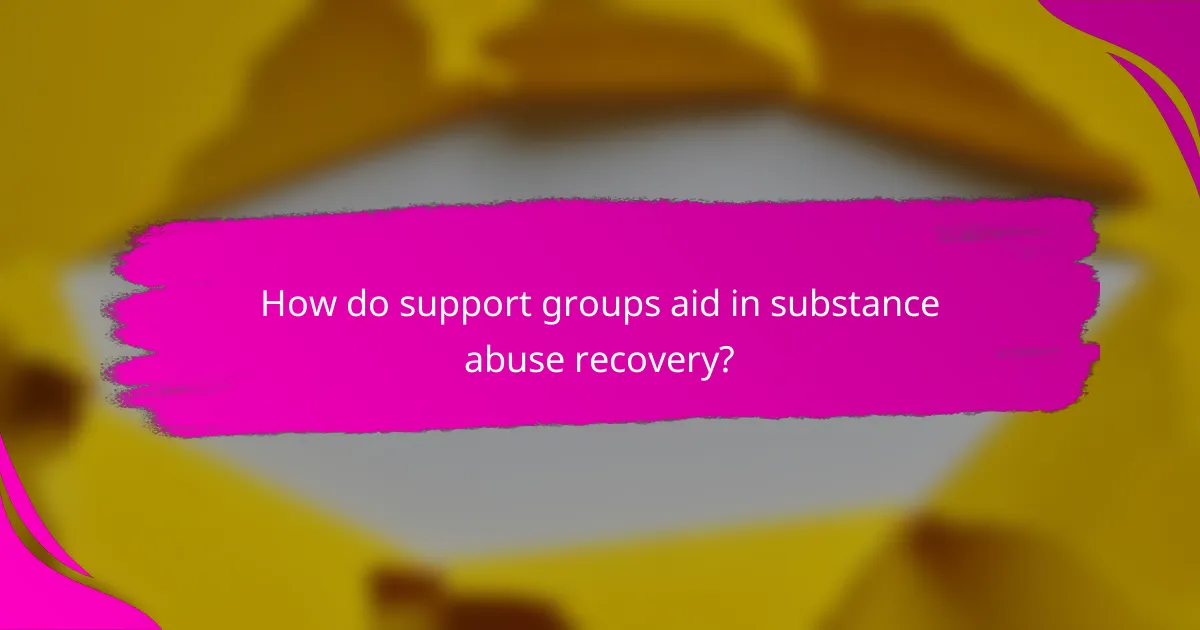 How do support groups aid in substance abuse recovery?