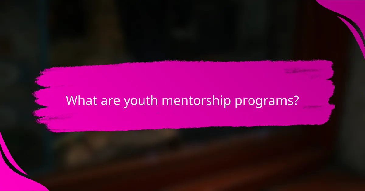 What are youth mentorship programs?