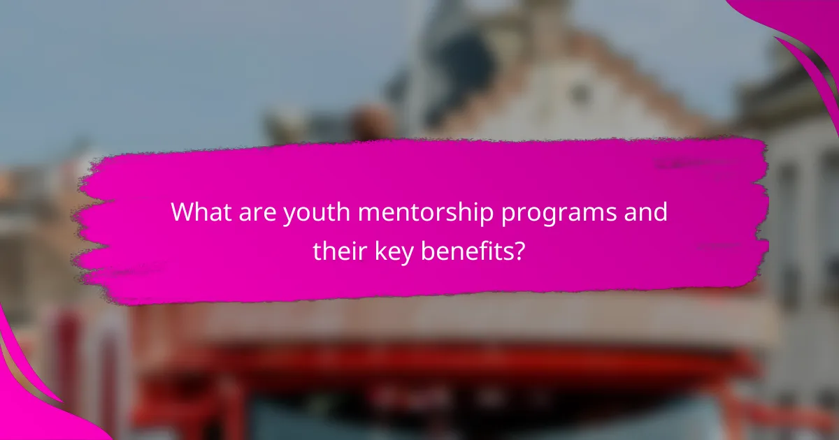What are youth mentorship programs and their key benefits?