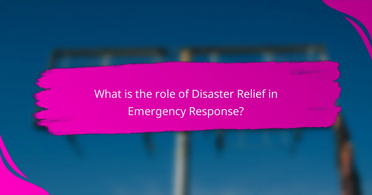 What is the role of Disaster Relief in Emergency Response?