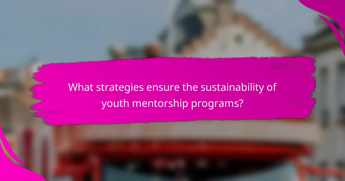 What strategies ensure the sustainability of youth mentorship programs?